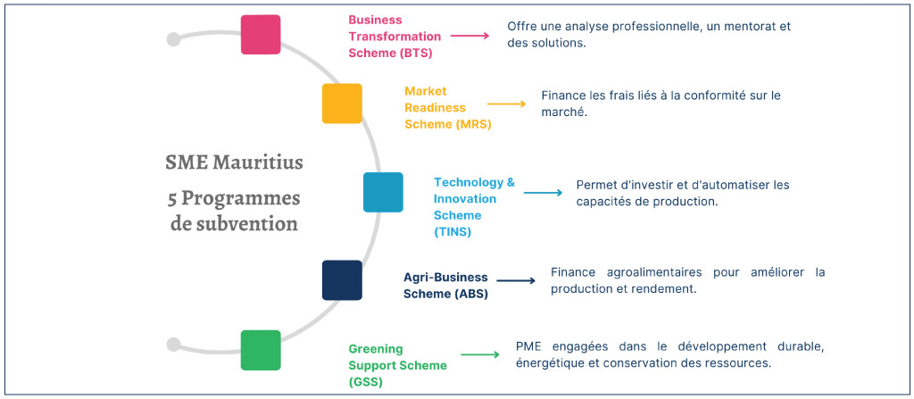 5 Programmes de subvention de SME Mauritius
